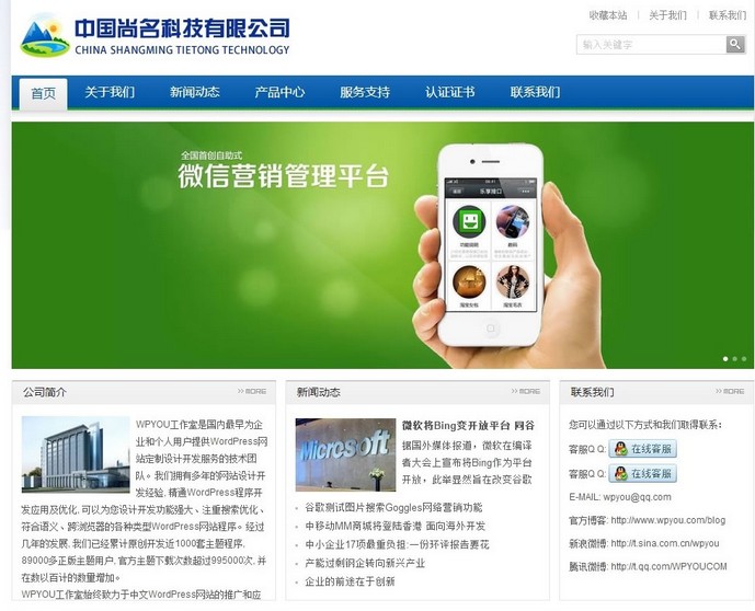 渝中区网站建设客户案例-科技公司网站案例 