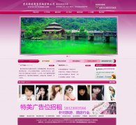 永川网站建设客户案例-伴游咨询公司网站案例 