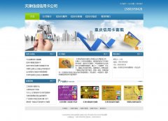 渝中区网站建设客户案例-蓝色清爽企业网站案例 