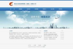 渝中区网站建设客户案例-淡蓝色大气集团网站 