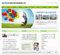 渝中区网站建设客户案例-电子科技网站案例 