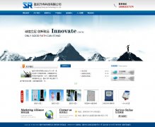武隆网站建设客户案例-电子产品企业网站案例 
