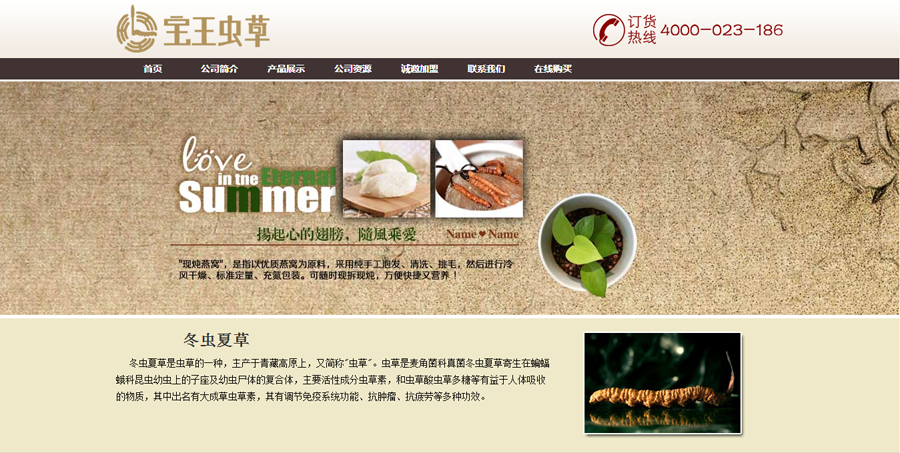 重庆网站建设客户案例-保健品销售网站案例 