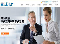 云阳网站建设客户案例- 高端大气上档次的企业网站案例 