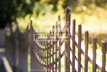 广安网站建设客户案例-壹米阳光品牌设计网站制作案例 
